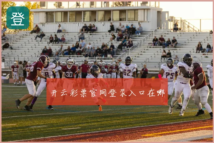 开云彩票官网登录入口在哪